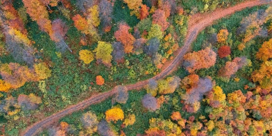 Karadeniz'in yaylaları eşsiz görünümde! Şimdi keşfin tam zamanı: Bu hali ayrı cezbedecek 4